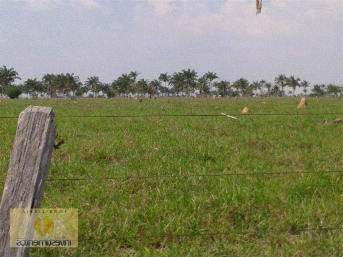 Picture of Farm For Sale in Mato Grosso, Mato Grosso, Brazil