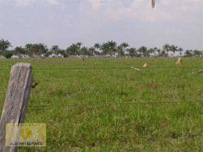Farm For Sale in Mato Grosso, Brazil