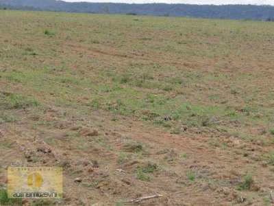 Farm For Sale in Mato Grosso, Brazil