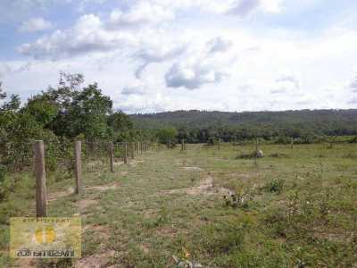 Farm For Sale in Mato Grosso, Brazil