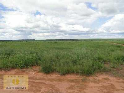 Farm For Sale in Mato Grosso, Brazil