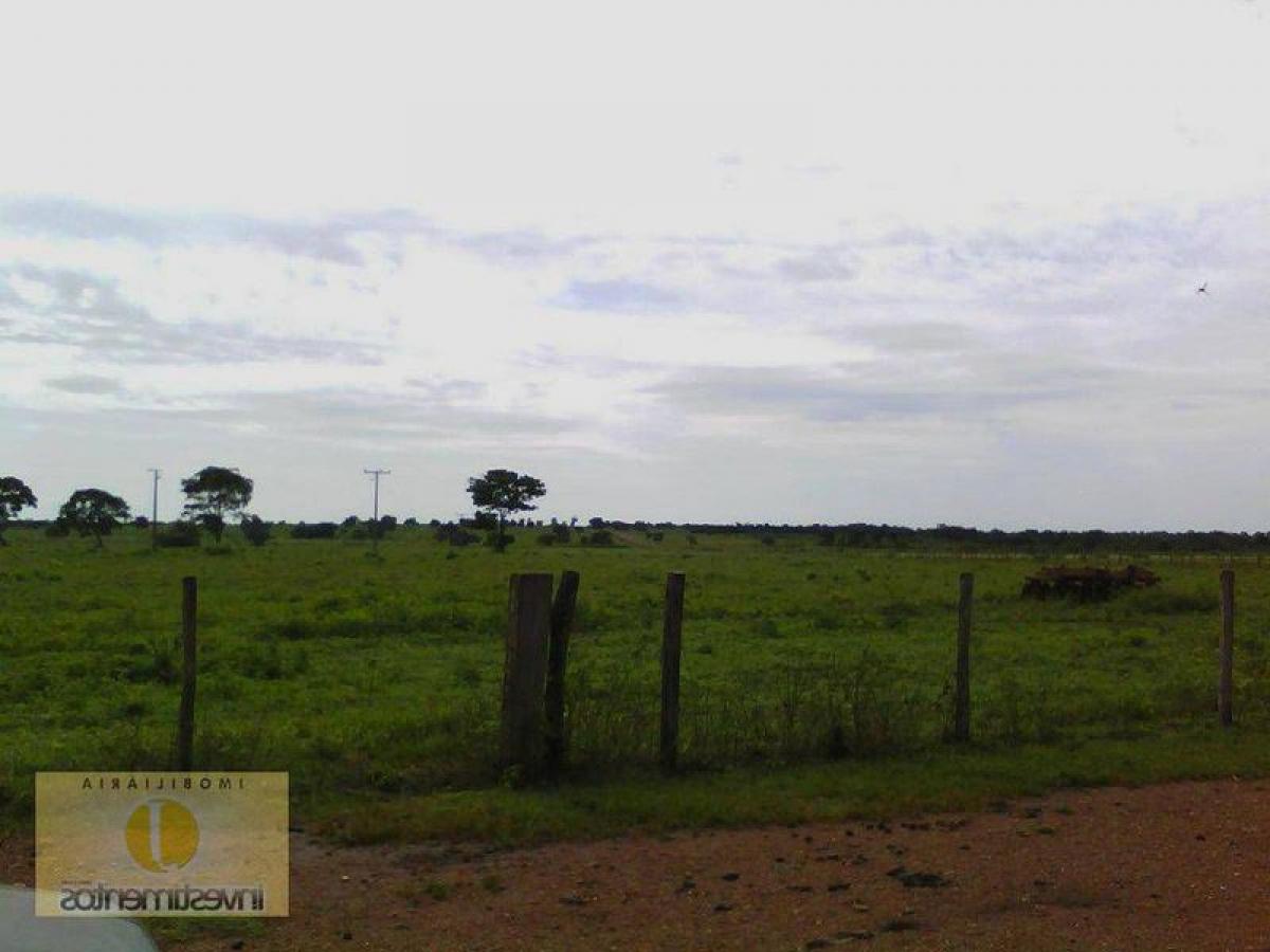 Picture of Farm For Sale in Tocantins, Tocantins, Brazil