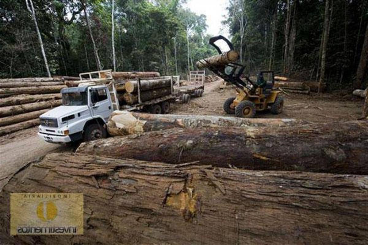 Picture of Farm For Sale in Acre, Acre, Brazil