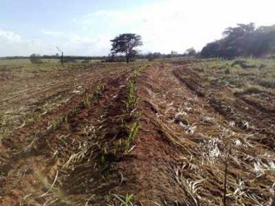 Farm For Sale in Rio De Janeiro, Brazil