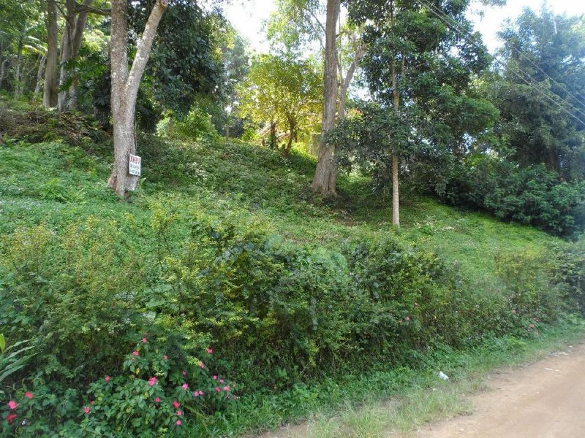 Picture of Residential Land For Sale in Teresopolis, Rio De Janeiro, Brazil