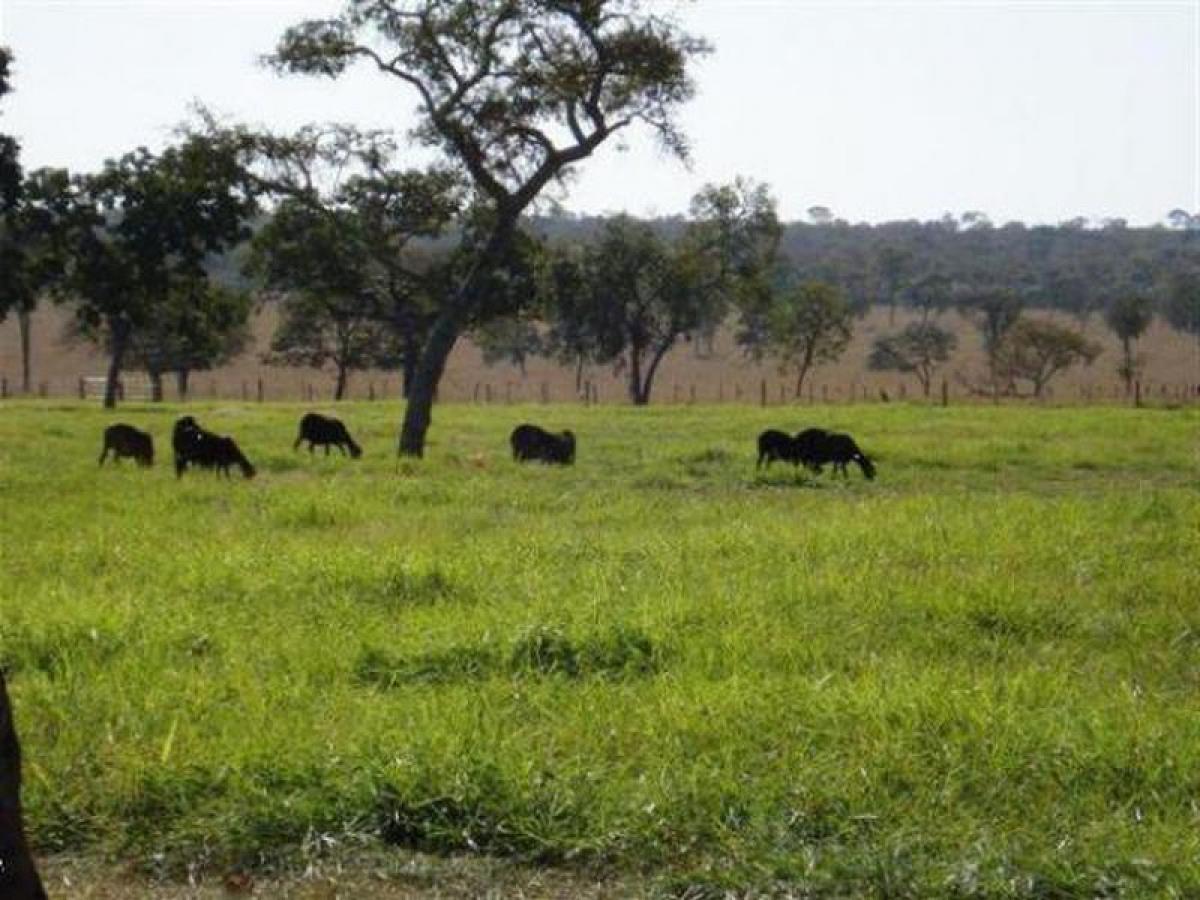 Picture of Home For Sale in Mato Grosso Do Sul, Mato Grosso do Sul, Brazil