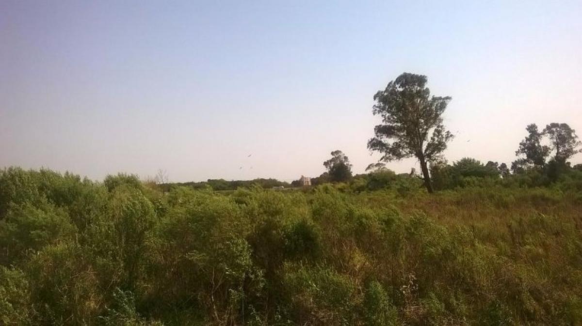 Picture of Residential Land For Sale in Sao Jose Dos Pinhais, Parana, Brazil