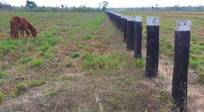 Farm For Sale in Rio De Janeiro, Brazil