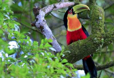 Residential Land For Sale in Mairipora, Brazil