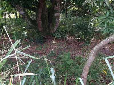 Residential Land For Sale in Marica, Brazil