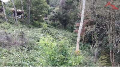 Residential Land For Sale in Campos Do Jordao, Brazil