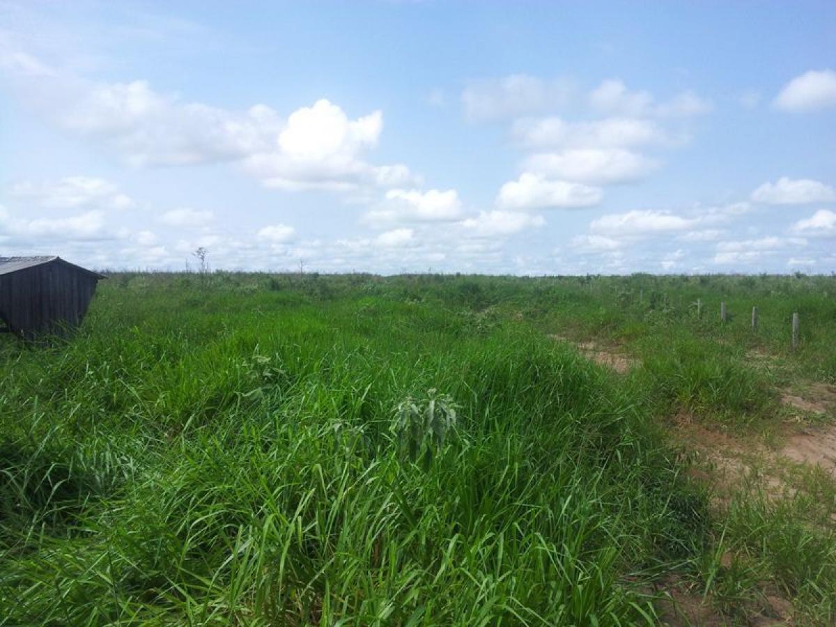 Picture of Farm For Sale in Rondônia, Rondonia, Brazil