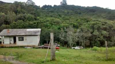 Farm For Sale in Porto Alegre, Brazil
