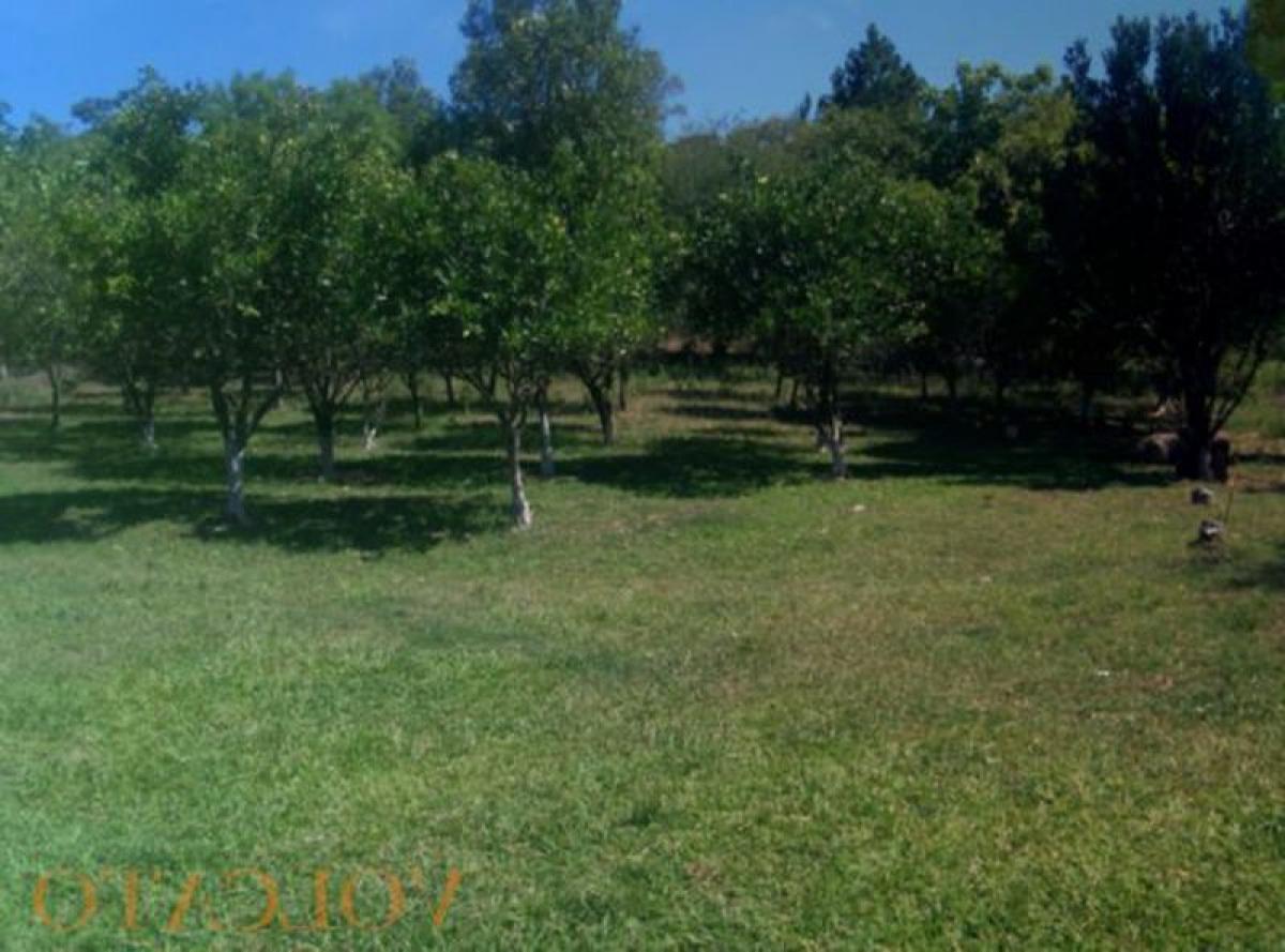 Picture of Farm For Sale in Rio Grande Do Sul, Rio Grande do Sul, Brazil