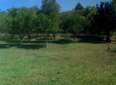 Farm For Sale in Rio Grande Do Sul, Brazil