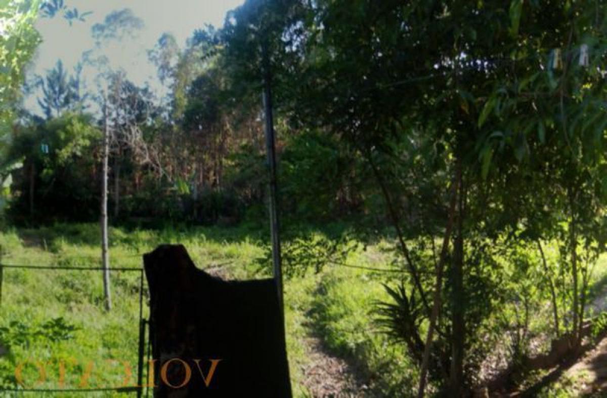 Picture of Farm For Sale in Rio Grande Do Sul, Rio Grande do Sul, Brazil