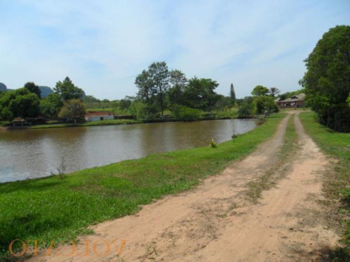Picture of Farm For Sale in Gravatai, Rio Grande do Sul, Brazil