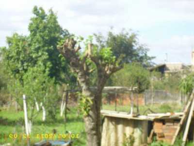 Residential Land For Sale in