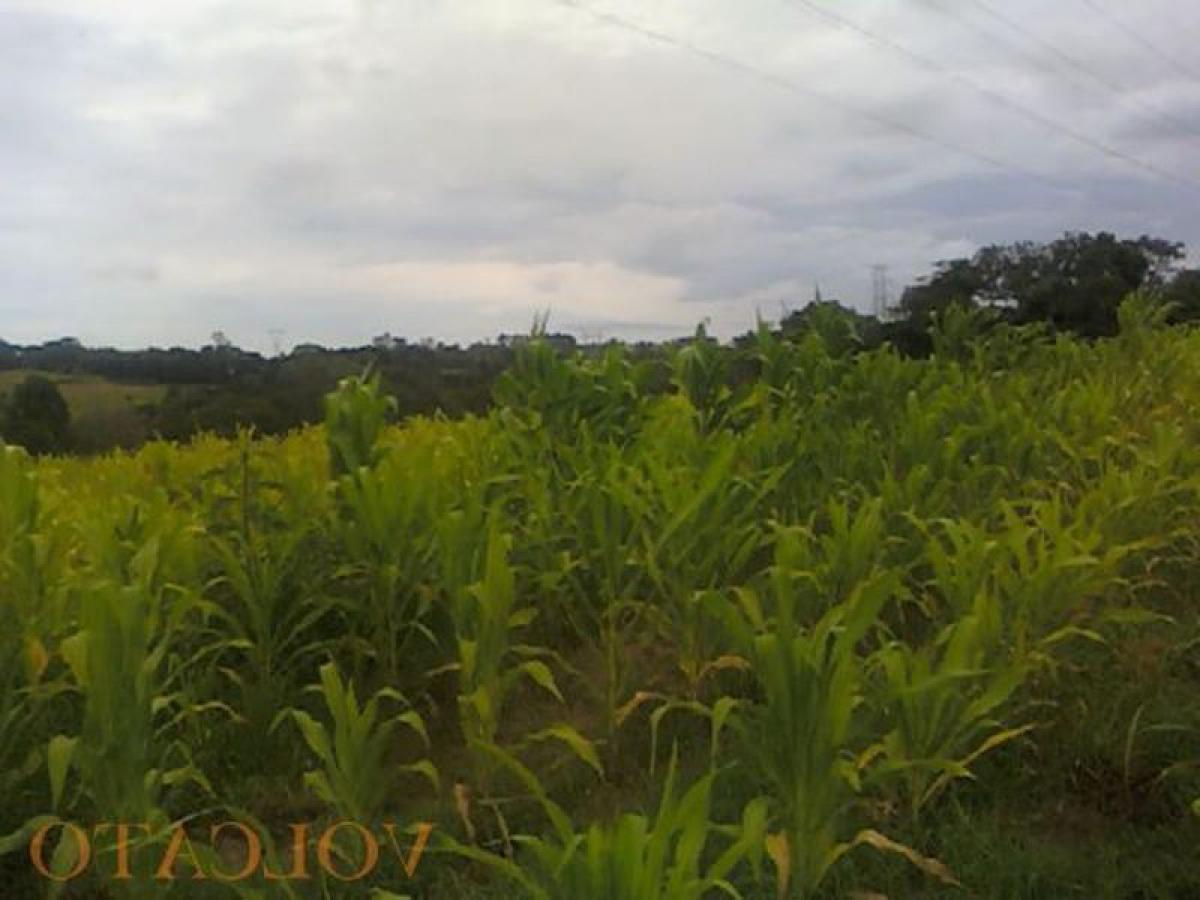 Picture of Farm For Sale in Rio Grande Do Sul, Rio Grande do Sul, Brazil