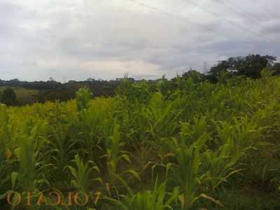 Farm For Sale in Rio Grande Do Sul, Brazil