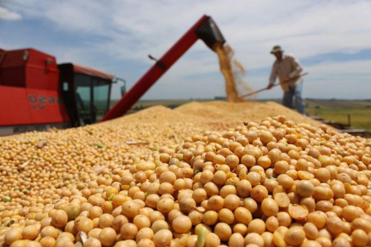 Picture of Farm For Sale in Marica, Rio De Janeiro, Brazil