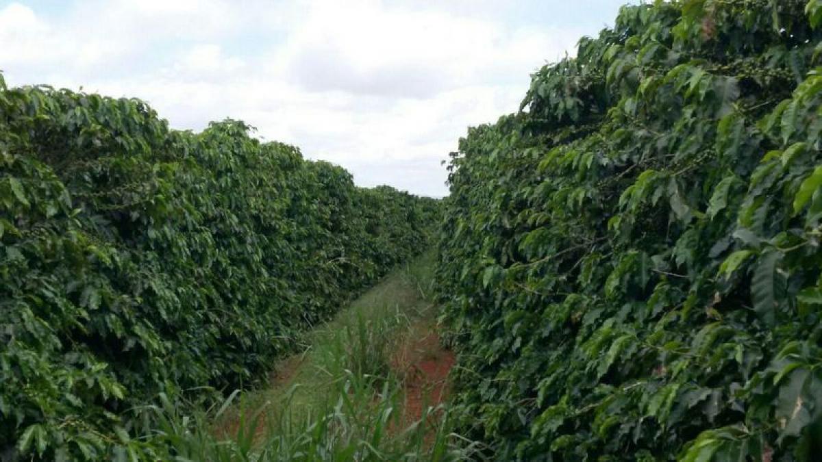 Picture of Farm For Sale in Marica, Rio De Janeiro, Brazil