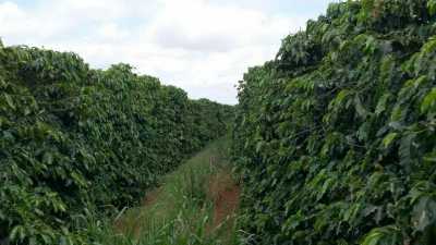 Farm For Sale in Marica, Brazil