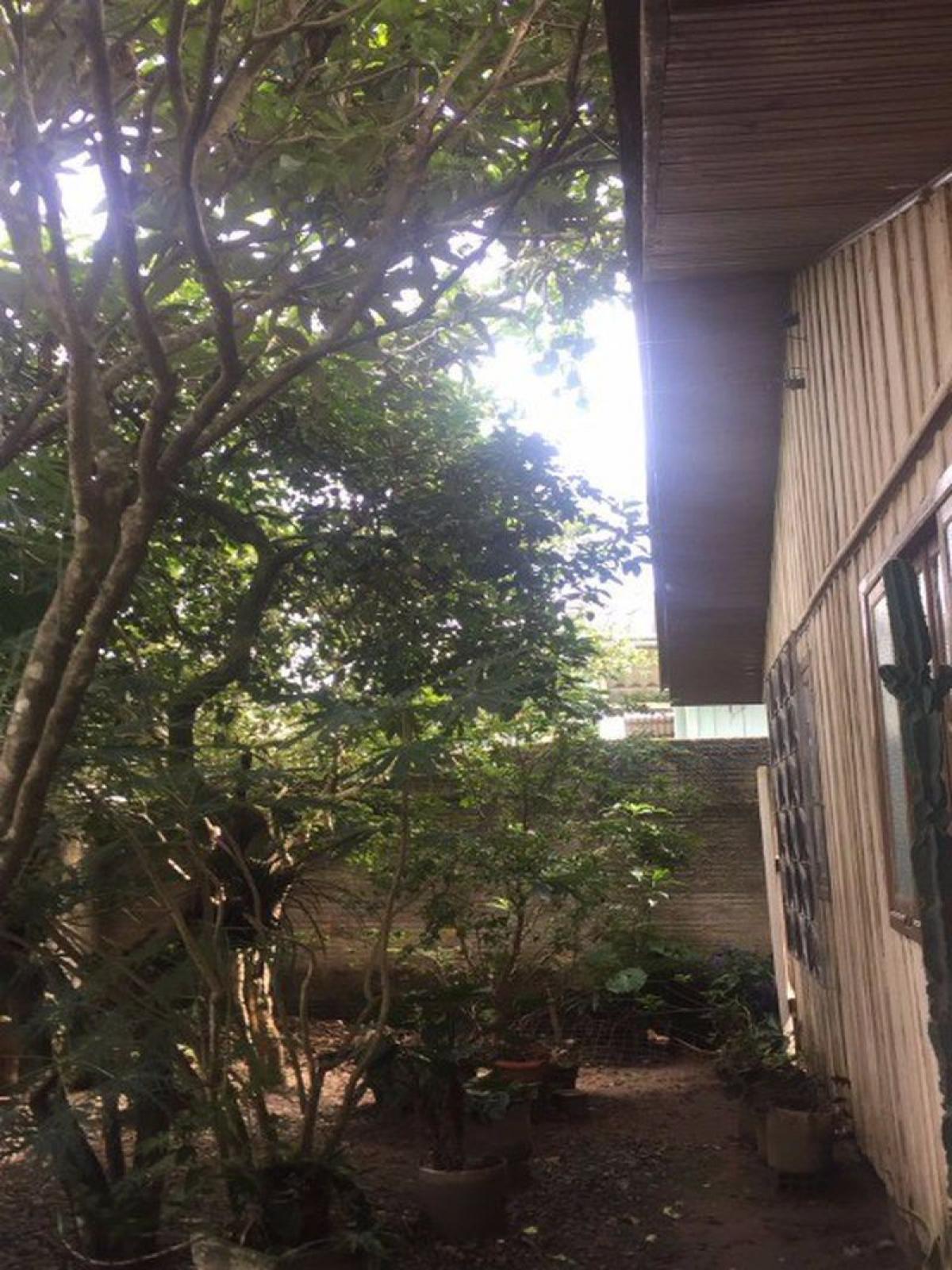 Picture of Residential Land For Sale in Balneario Camboriu, Santa Catarina, Brazil