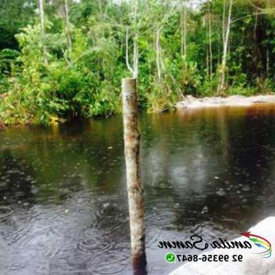 Other Commercial For Sale in Amazonas, Brazil