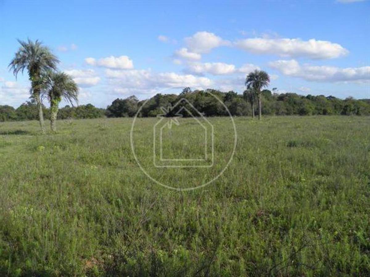 Picture of Residential Land For Sale in Distrito Federal, Distrito Federal, Brazil