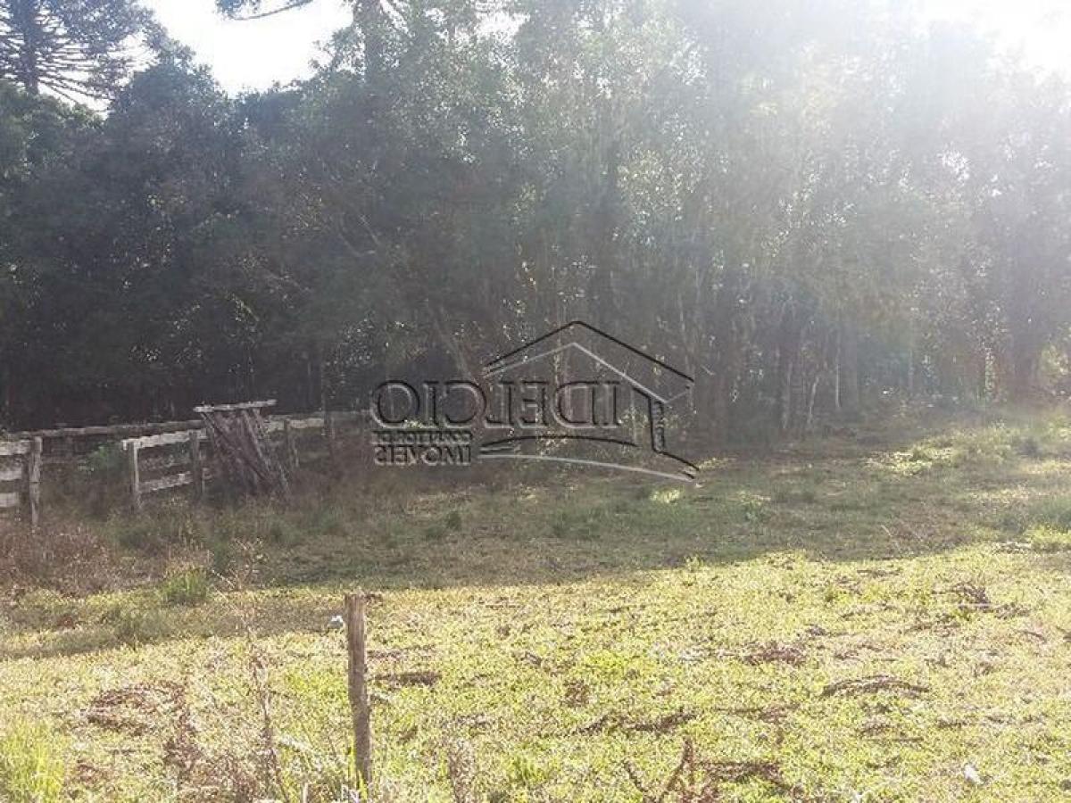 Picture of Other Commercial For Sale in Parana, Parana, Brazil