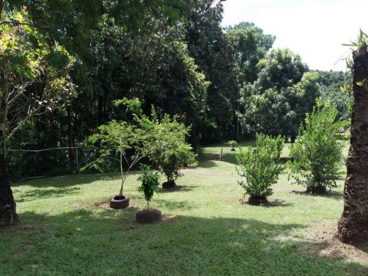 Picture of Other Commercial For Sale in Goias, Goias, Brazil