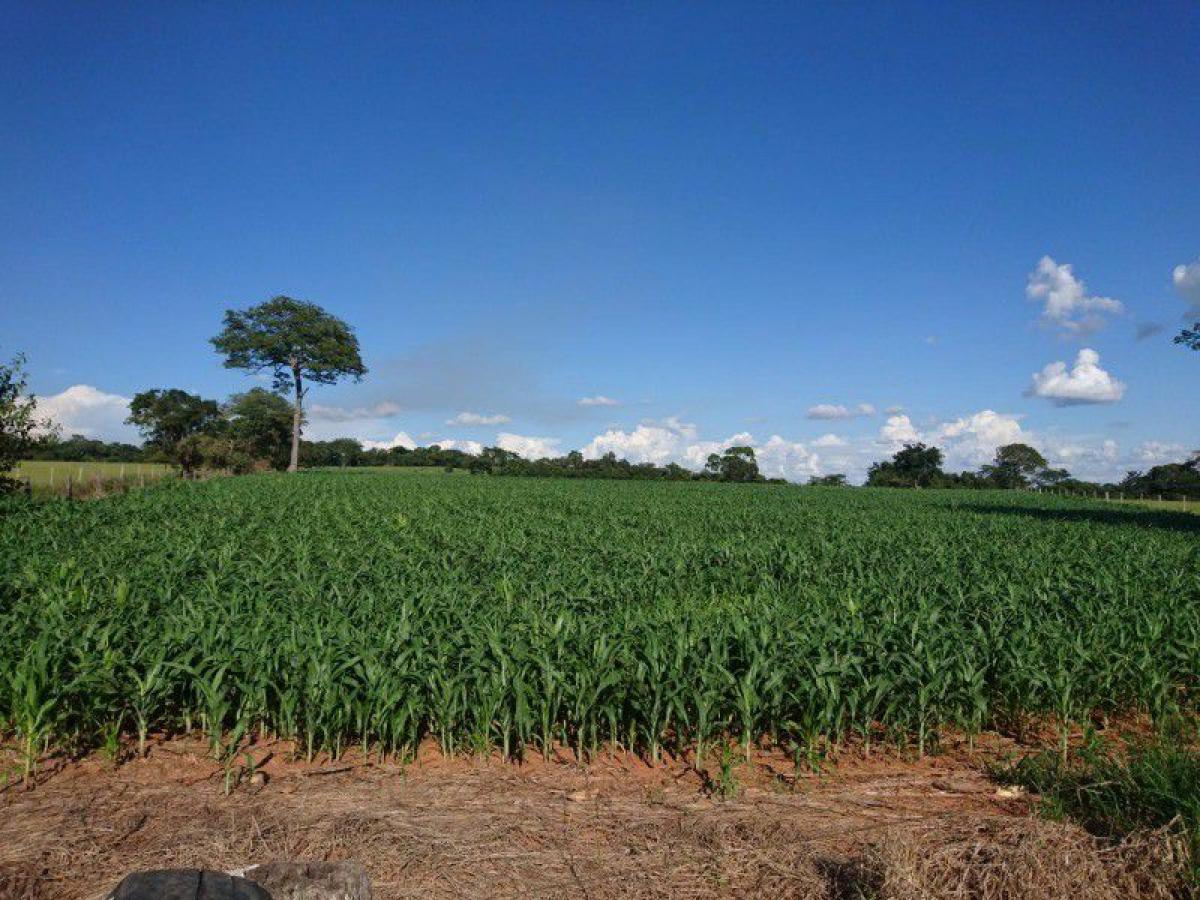 Picture of Other Commercial For Sale in Goias, Goias, Brazil