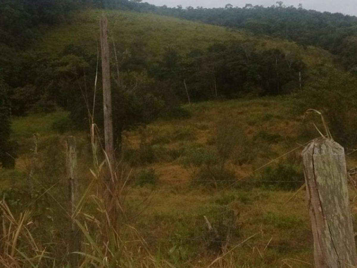 Picture of Other Commercial For Sale in Amparo, Sao Paulo, Brazil