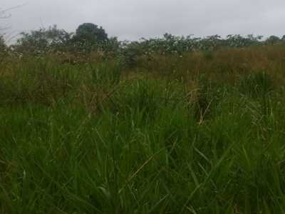 Other Commercial For Sale in Amparo, Brazil