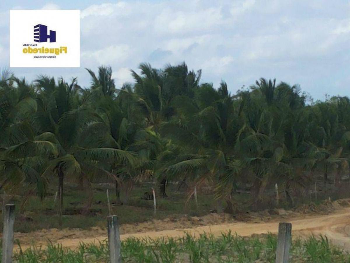 Picture of Farm For Sale in Paraiba, Paraiba, Brazil