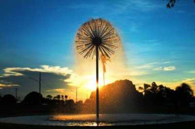 Other Commercial For Sale in Mato Grosso, Brazil