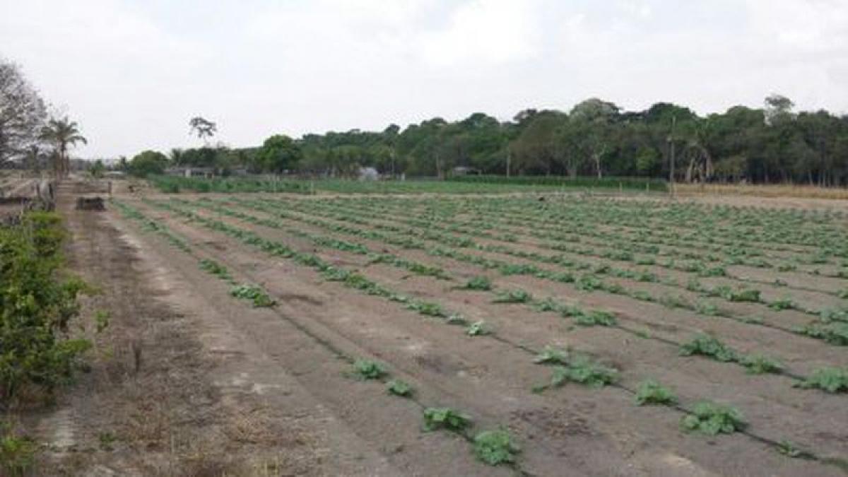 Picture of Other Commercial For Sale in Mato Grosso, Mato Grosso, Brazil