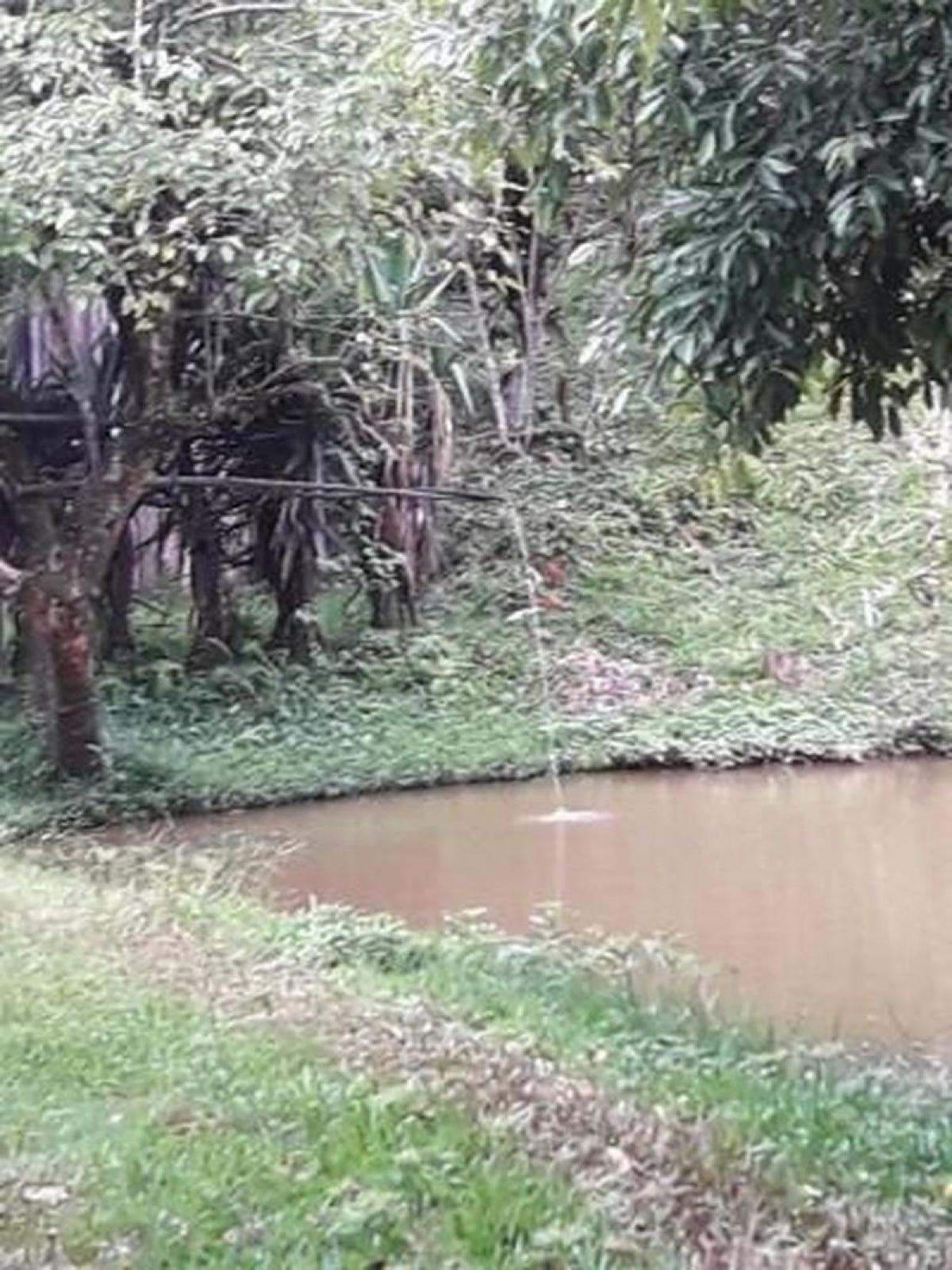 Picture of Farm For Sale in Sao Jose Dos Campos, Sao Paulo, Brazil