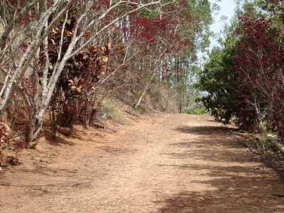Farm For Sale in Sao Jose Dos Campos, Brazil