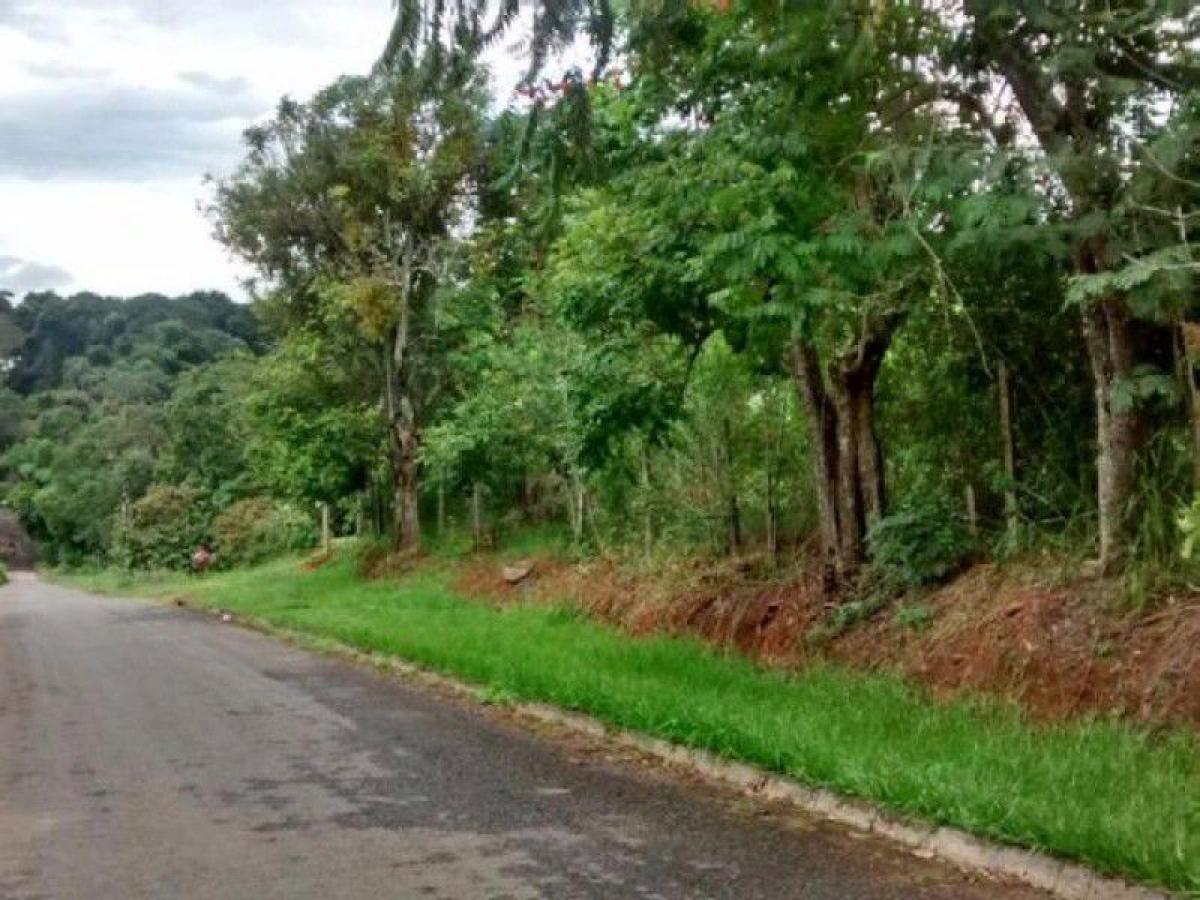 Picture of Other Commercial For Sale in Goias, Goias, Brazil