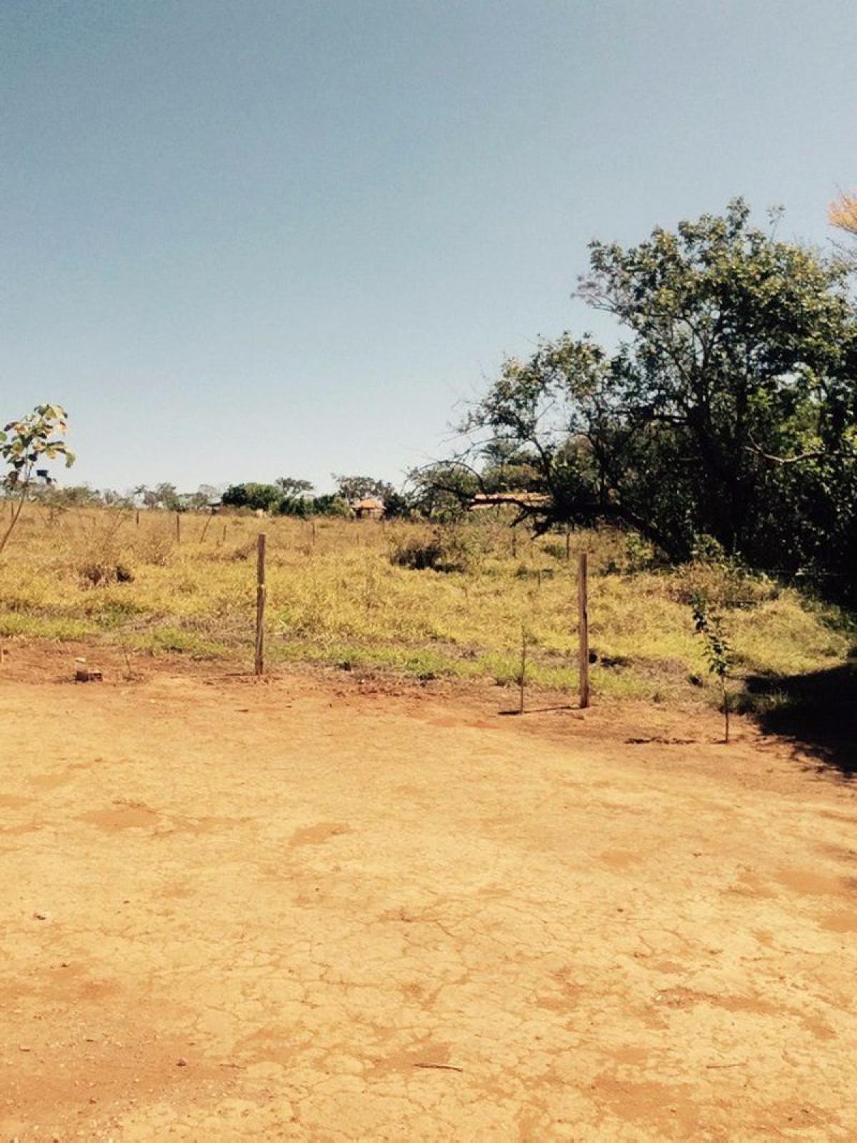 Picture of Other Commercial For Sale in Goias, Goias, Brazil