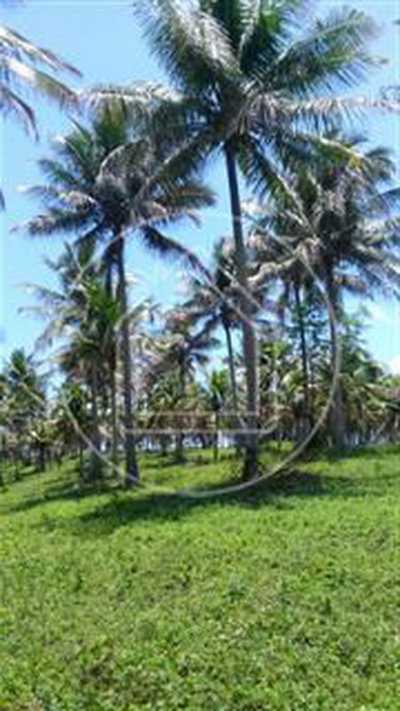Residential Land For Sale in Mata De Sao Joao, Brazil