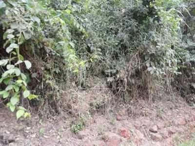 Residential Land For Sale in 