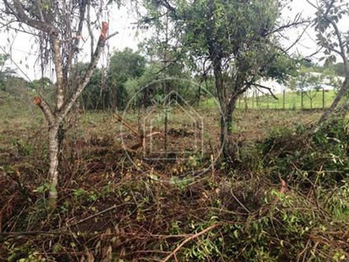 Picture of Residential Land For Sale in Minas Gerais, Minas Gerais, Brazil