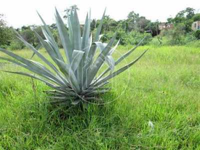 Residential Land For Sale in Itaborai, Brazil