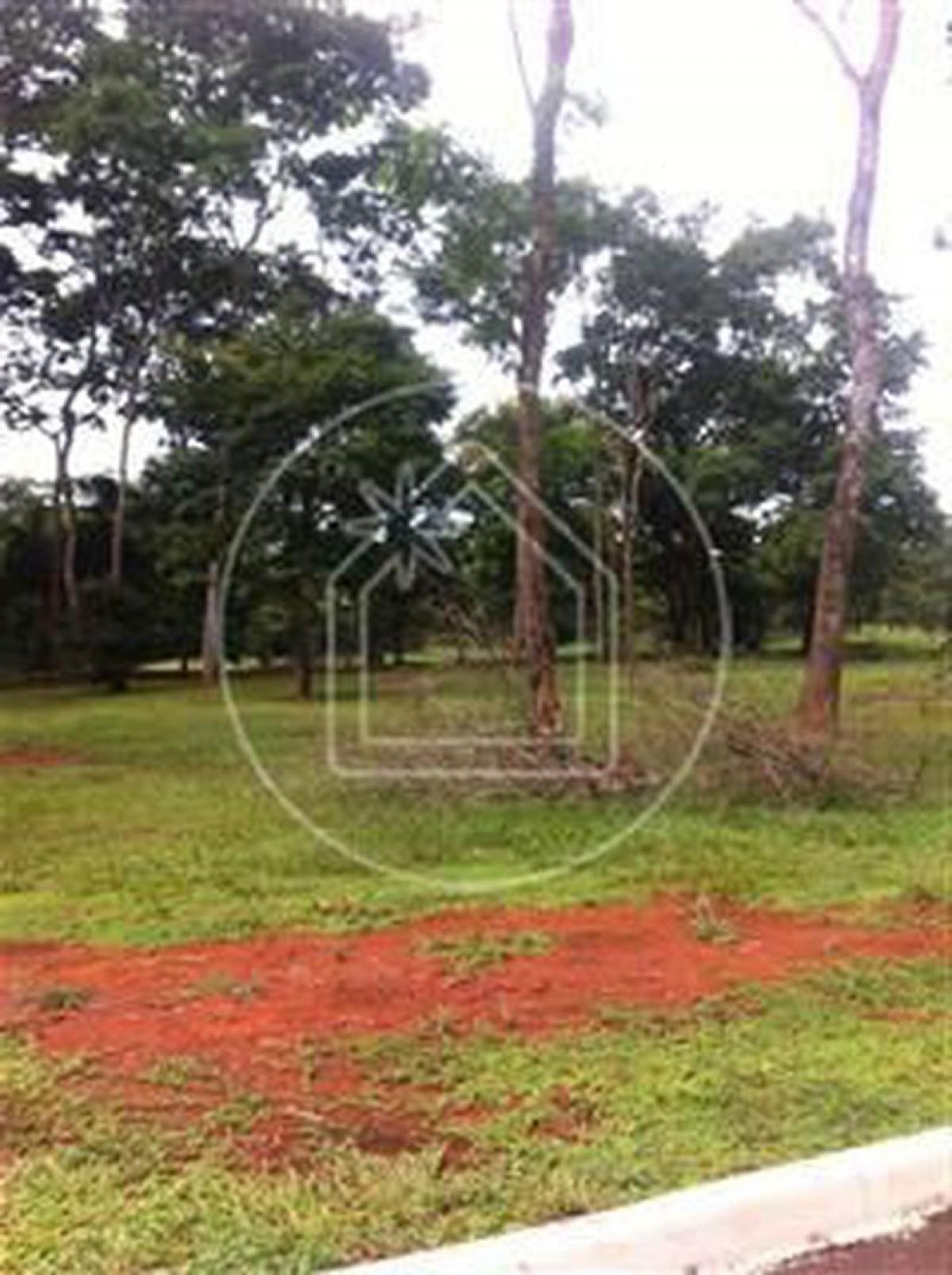 Picture of Residential Land For Sale in Goias, Goias, Brazil