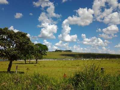 Farm For Sale in Goias, Brazil