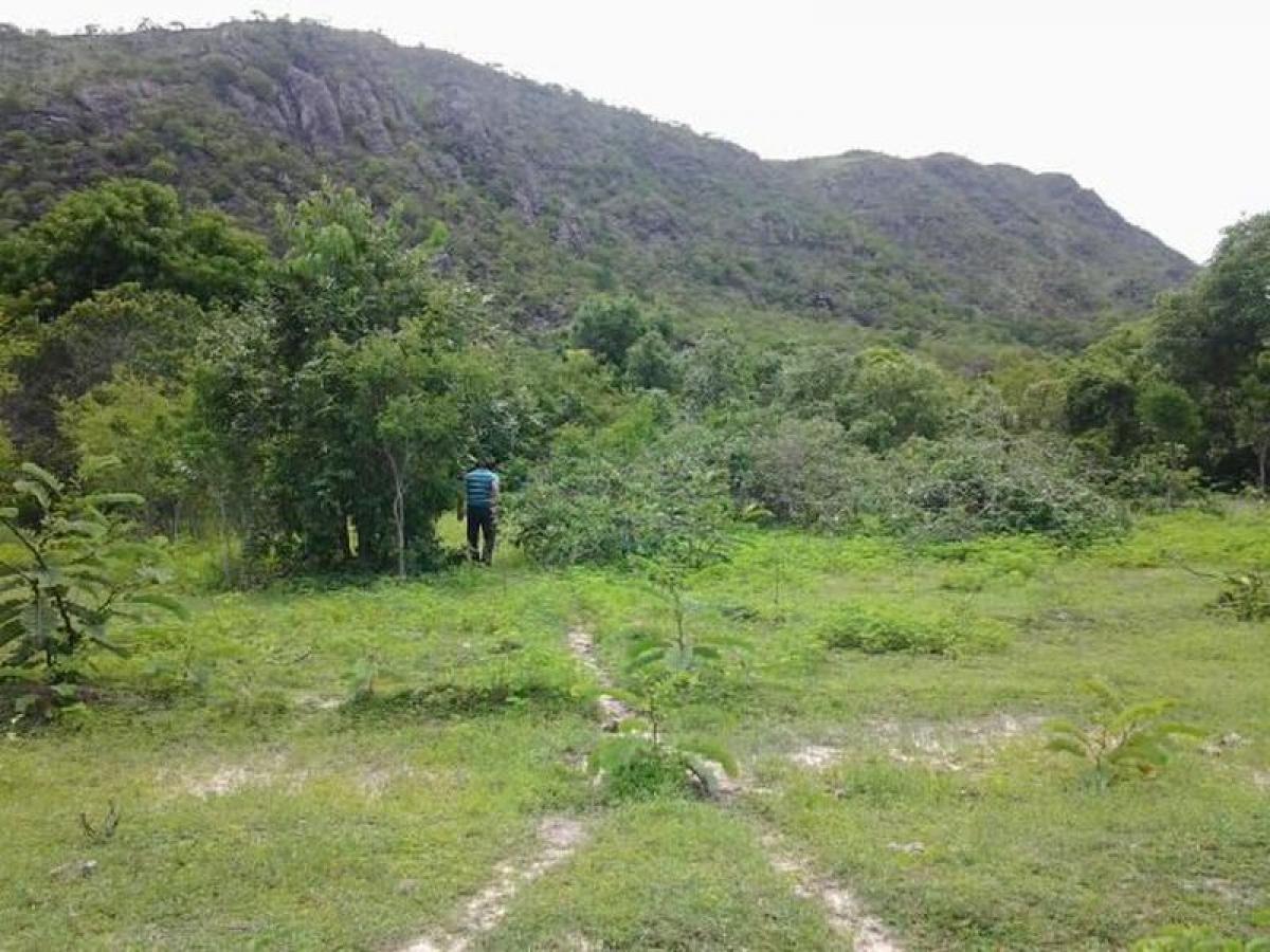 Picture of Farm For Sale in Tocantins, Tocantins, Brazil