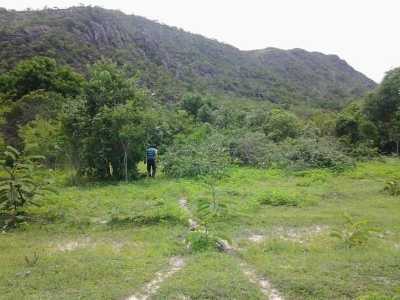 Farm For Sale in Tocantins, Brazil